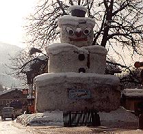wag995.jpg (28216 Byte)